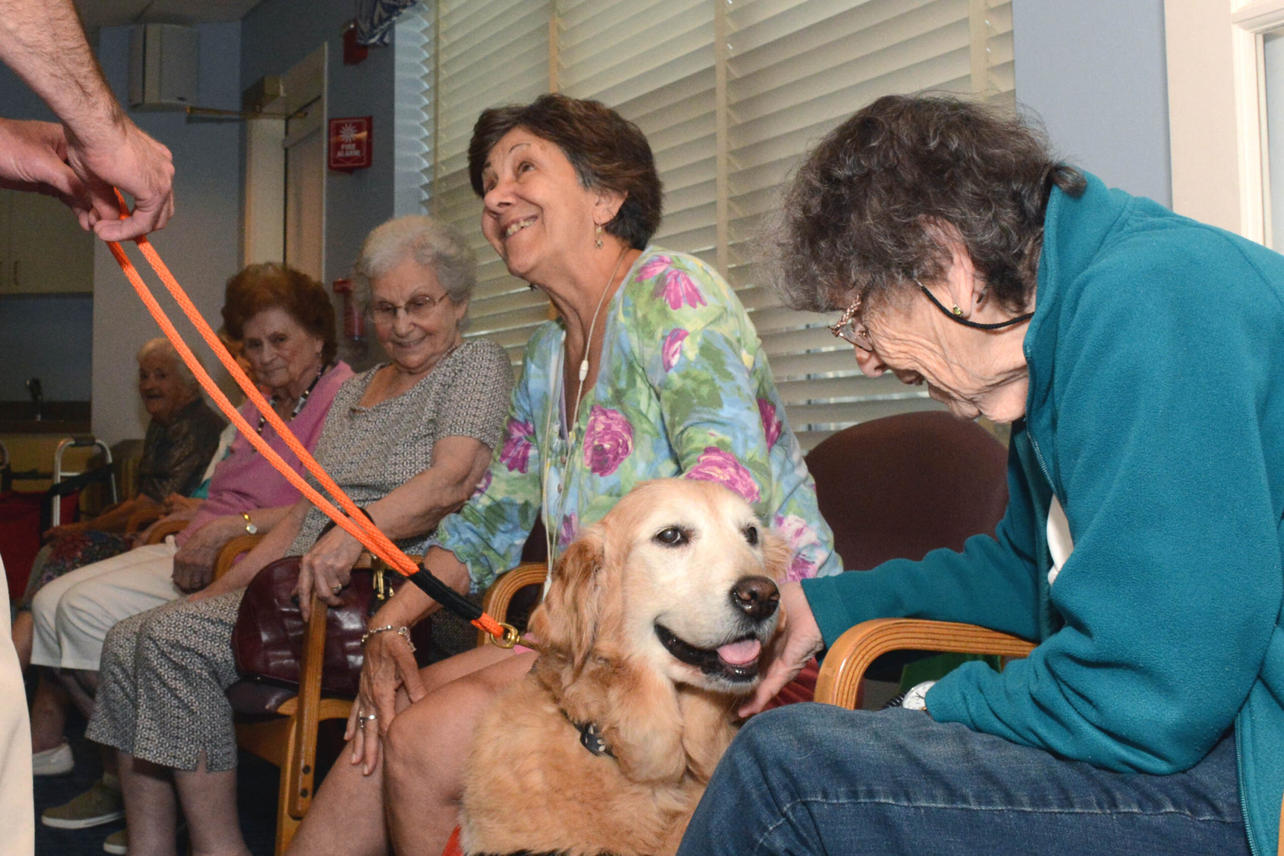 Daisy Delivers Smiles