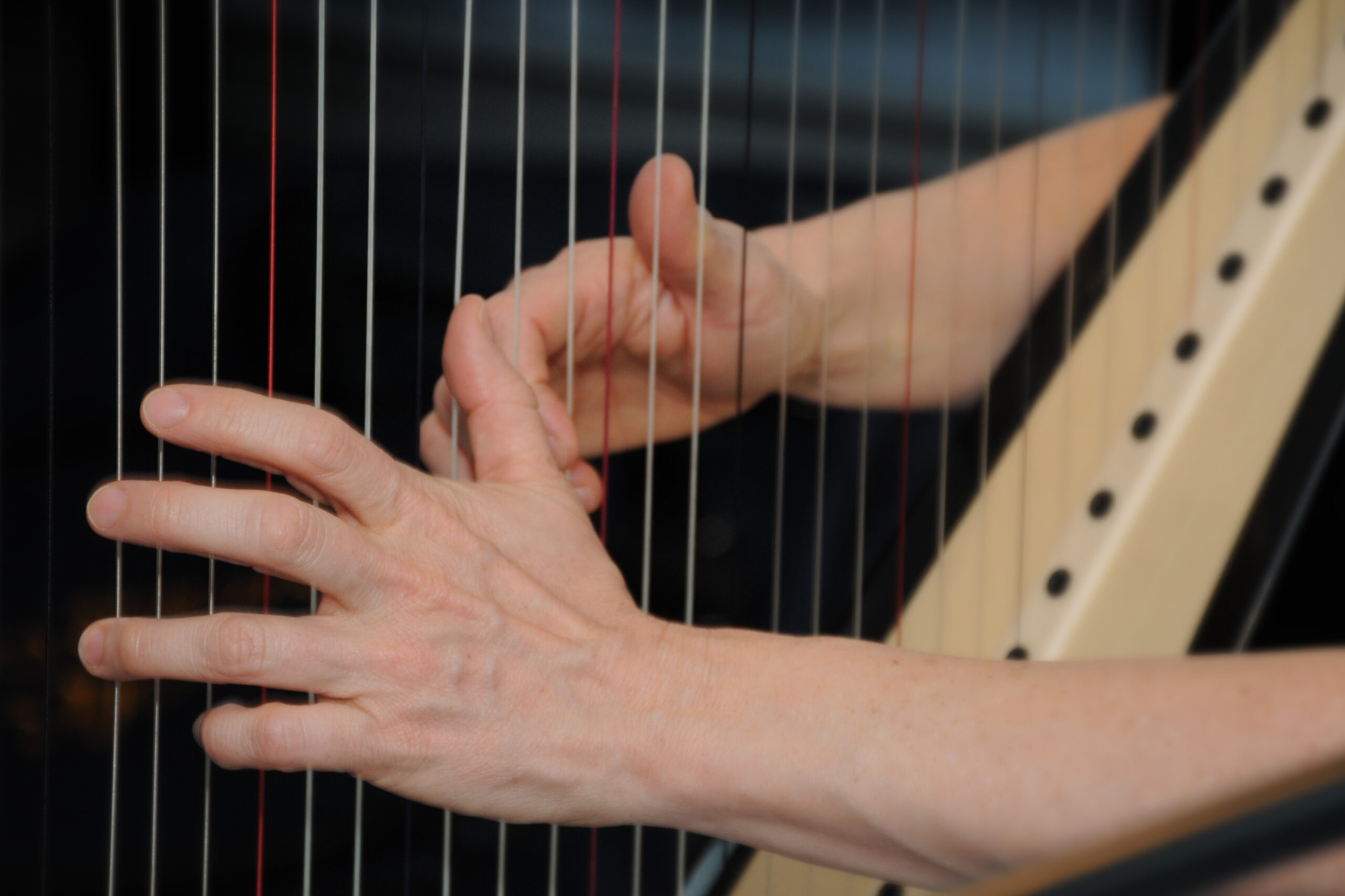 Musical Celebration at Allerton House in Weymouth