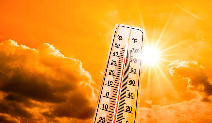 Staying Cool During a Heat Wave: A Guide for Seniors